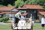 田植え